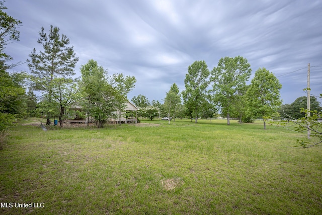 134 Lynne Ln, Lucedale, MS 39452 - view of yard