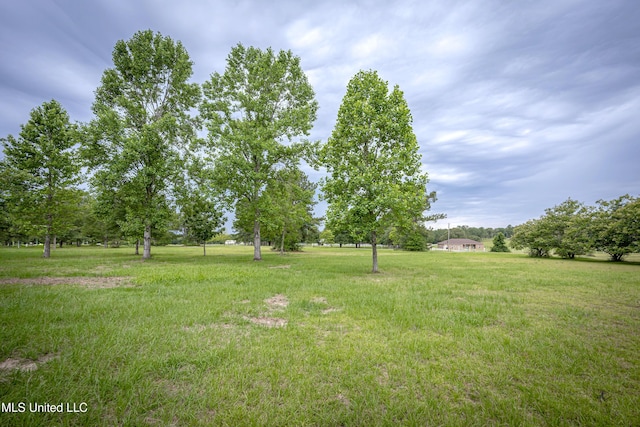 134 Lynne Ln, Lucedale, MS 39452 - view of green lawn