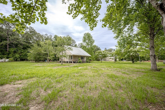 134 Lynne Ln, Lucedale, MS 39452 - view of green lawn
