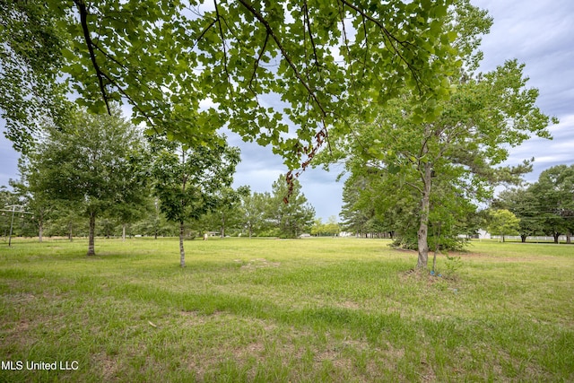 134 Lynne Ln, Lucedale, MS 39452 - view of green lawn