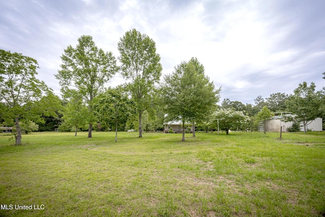 134 Lynne Ln, Lucedale, MS 39452 - view of green lawn