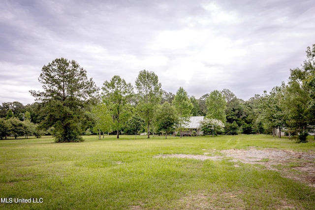 134 Lynne Ln, Lucedale, MS 39452 - view of green lawn