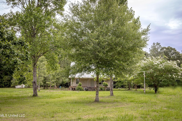 134 Lynne Ln, Lucedale, MS 39452 - view of yard