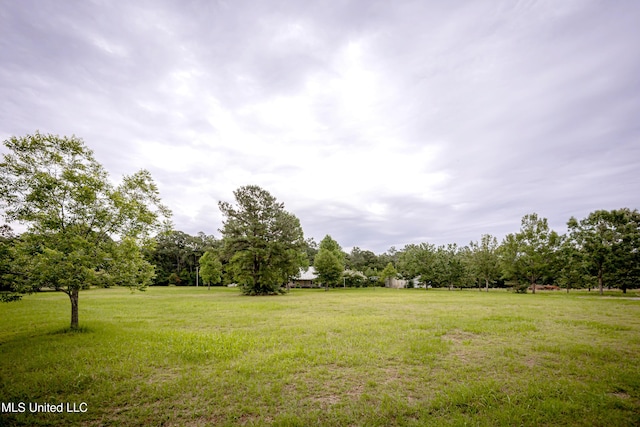 134 Lynne Ln, Lucedale, MS 39452 - view of grassy yard