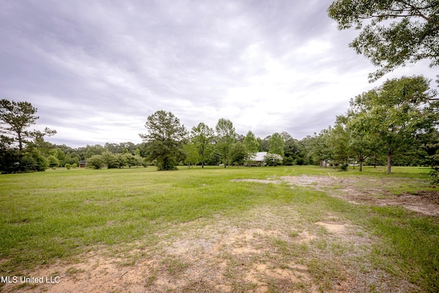 134 Lynne Ln, Lucedale, MS 39452 - view of yard with a rural view