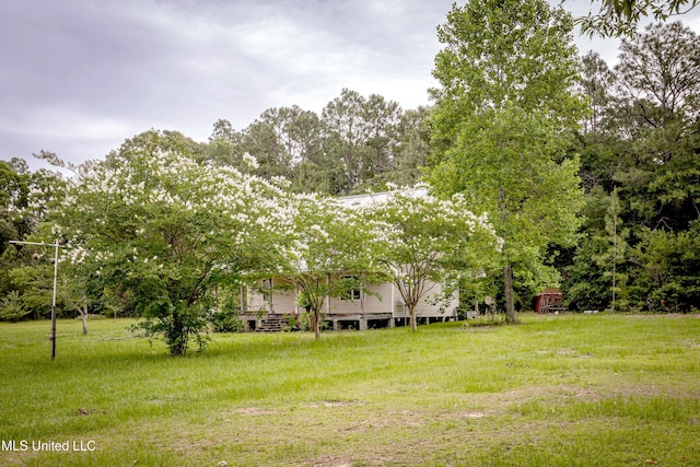 134 Lynne Ln, Lucedale, MS 39452 - view of green lawn