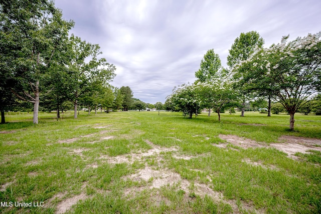 134 Lynne Ln, Lucedale, MS 39452 - view of yard featuring a rural view