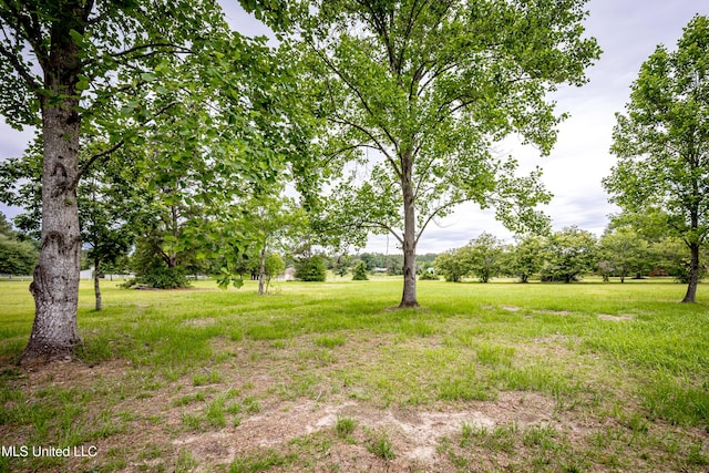 134 Lynne Ln, Lucedale, MS 39452 - view of yard