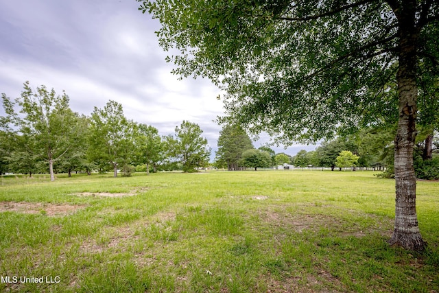134 Lynne Ln, Lucedale, MS 39452 - view of yard