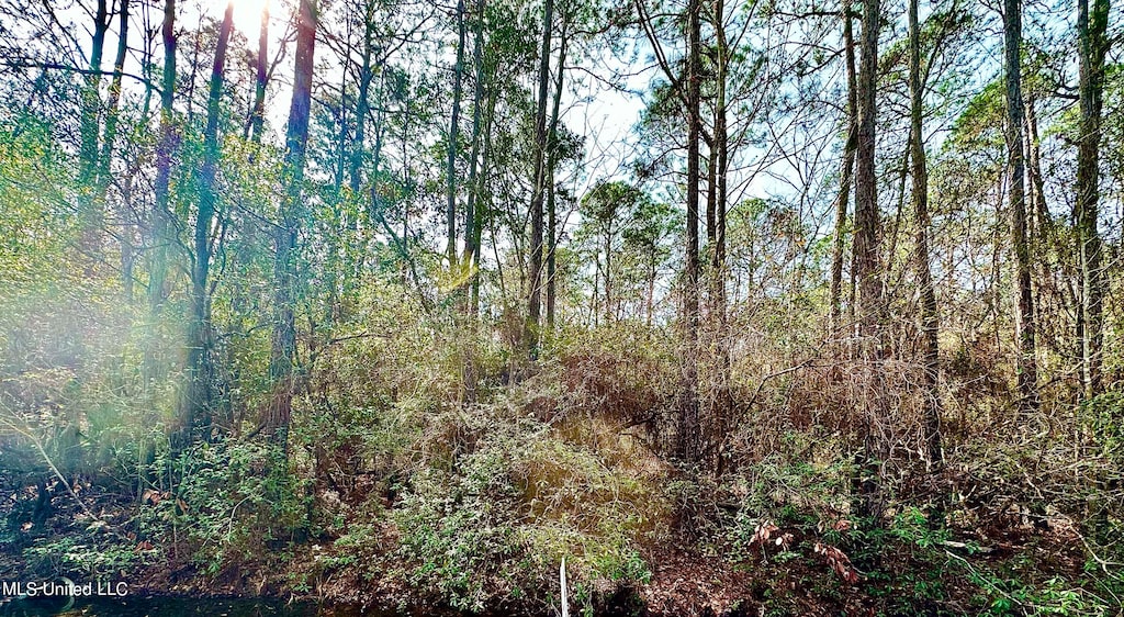 00 Gum St, Ocean Springs, MS 39564