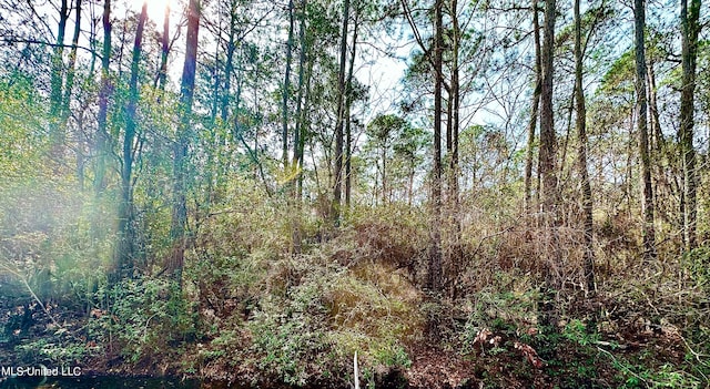 00 Gum St, Ocean Springs, MS 39564