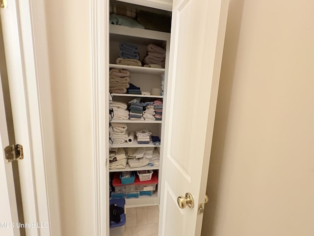 view of closet