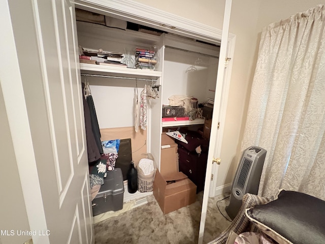 view of closet