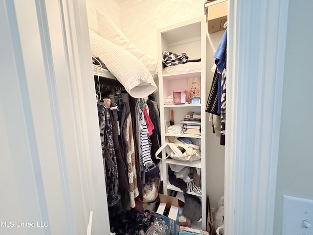 view of spacious closet