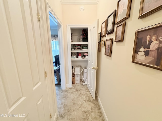 corridor with baseboards and crown molding