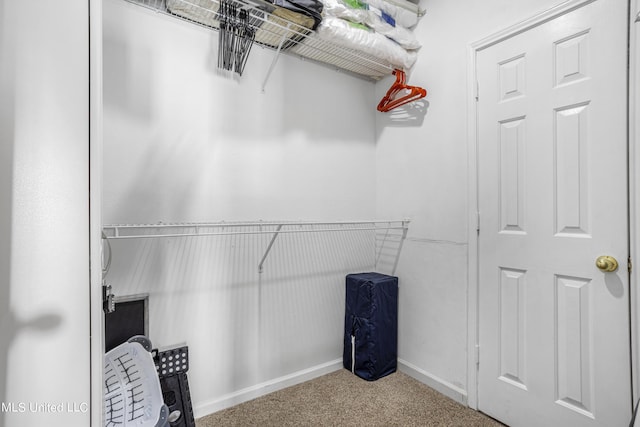 walk in closet with carpet floors