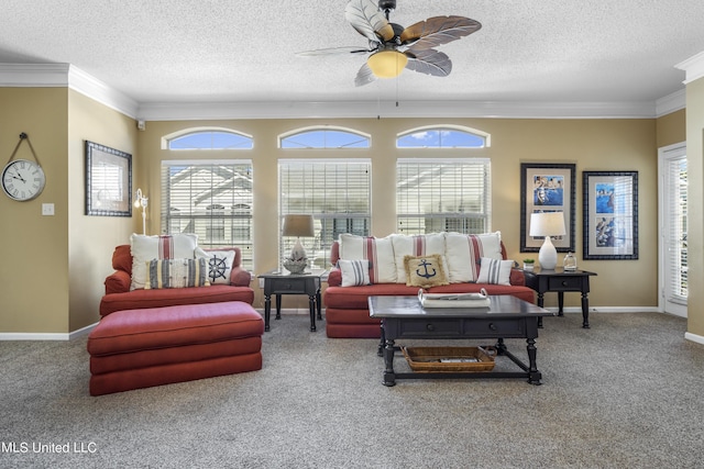 carpeted living room with ceiling fan, crown molding, and a textured ceiling