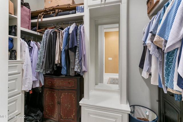 view of spacious closet