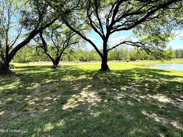 view of yard featuring a water view