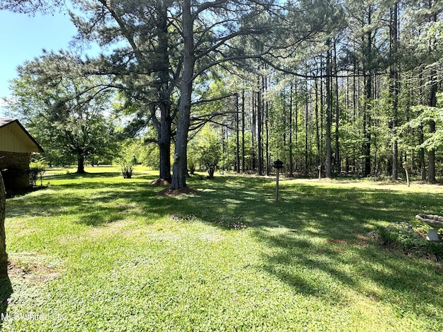 view of yard