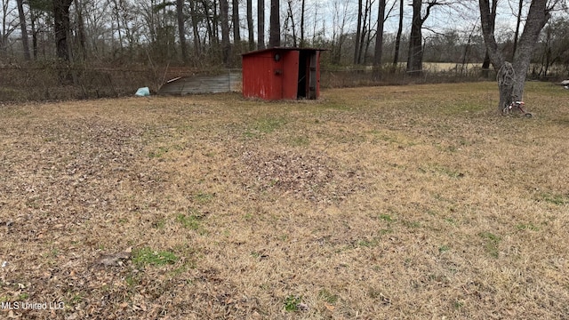 view of yard with a storage shed