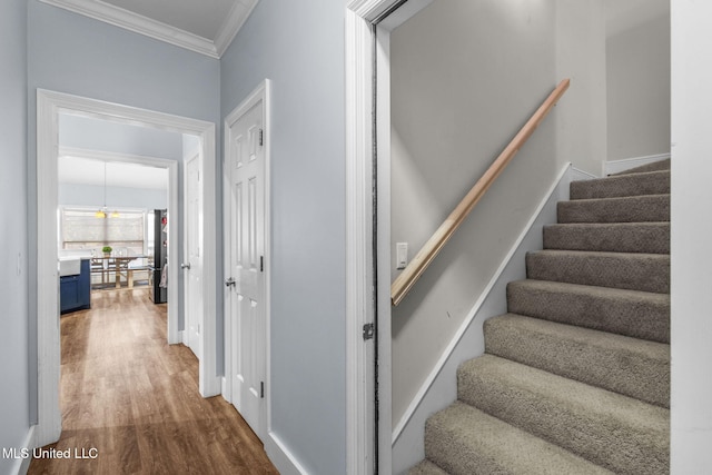 527 Pelahatchie Shore Dr, Brandon, MS 39047 - stairway with ornamental molding, wood finished floors, and baseboards