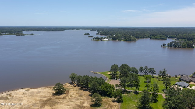 527 Pelahatchie Shore Dr, Brandon, MS 39047 - aerial view of a nearby body of water