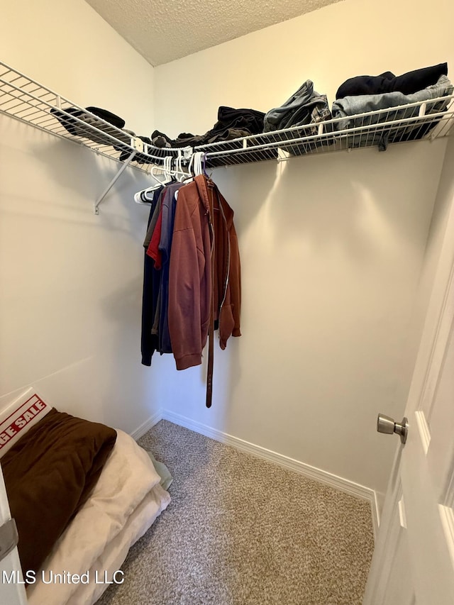spacious closet with carpet flooring