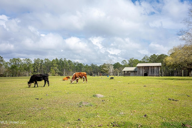 view of yard featuring an outbuilding and a rural view