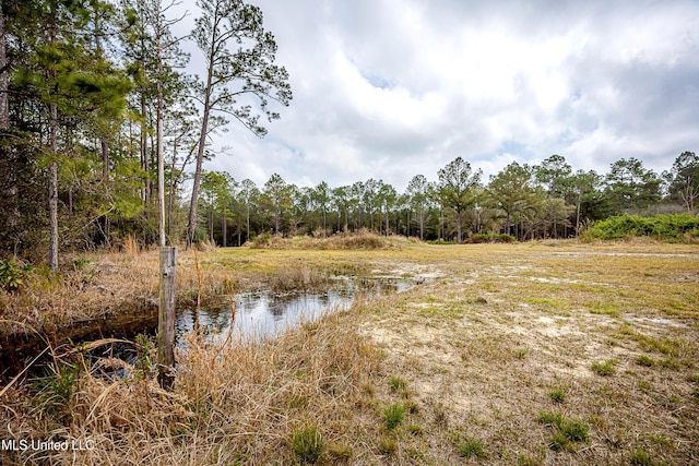 view of local wilderness featuring a water view