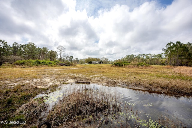 view of local wilderness