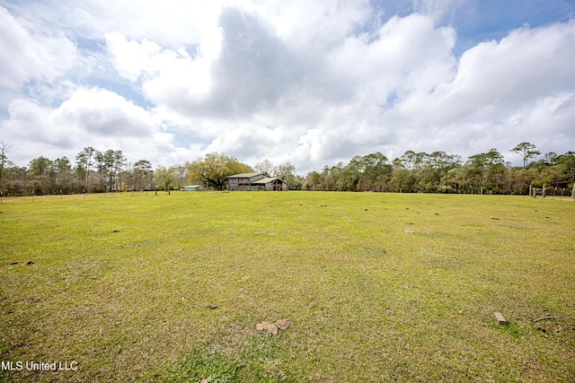 view of yard featuring a rural view