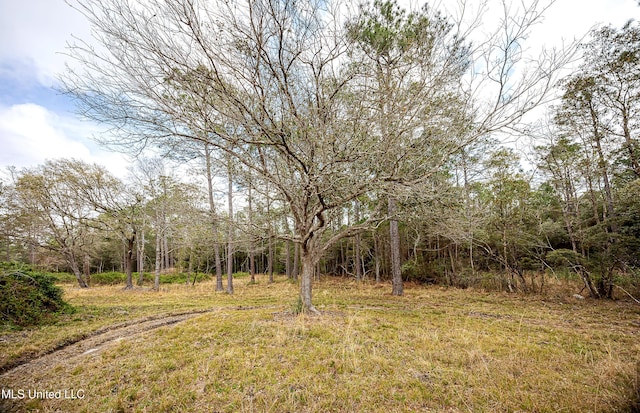 view of local wilderness