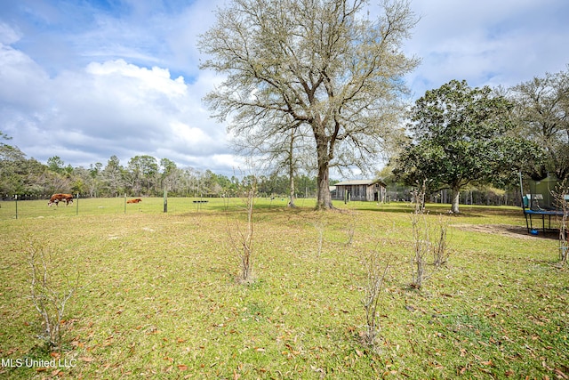 view of yard featuring a trampoline