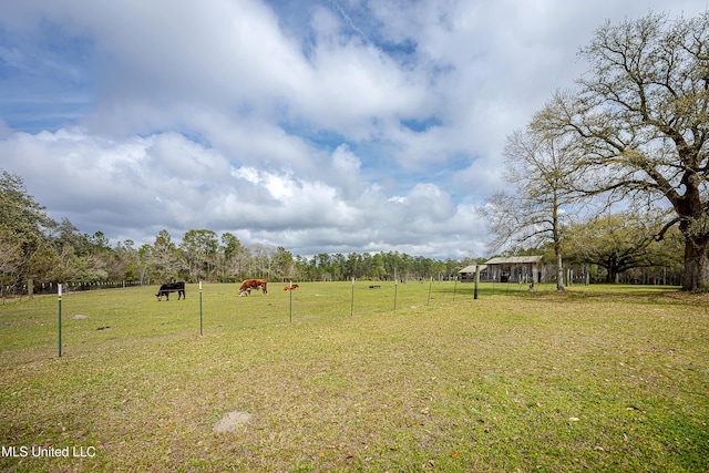 view of yard with a rural view