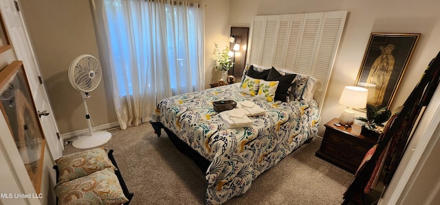 bedroom with a closet and carpet floors