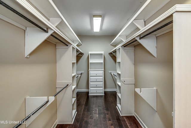 spacious closet with dark hardwood / wood-style flooring