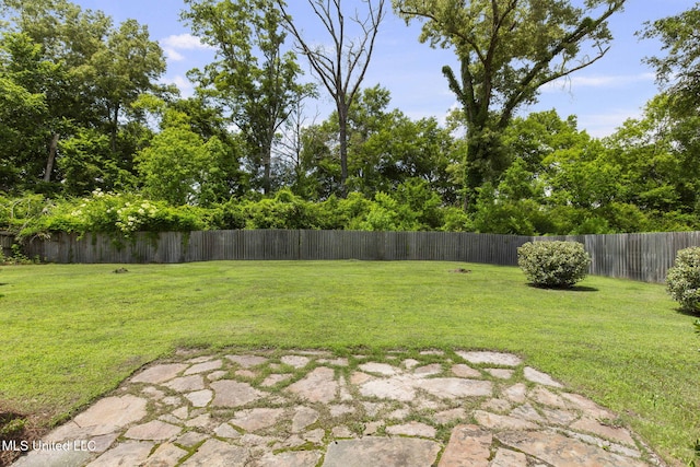 125 Rhodes Ln, Canton, MS 39046 - view of yard