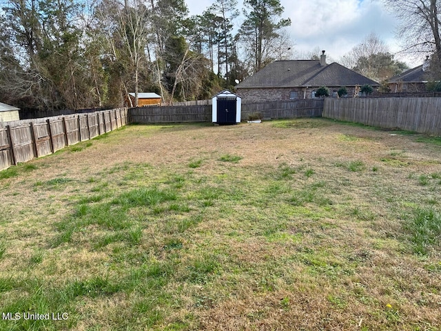 view of yard with a storage shed