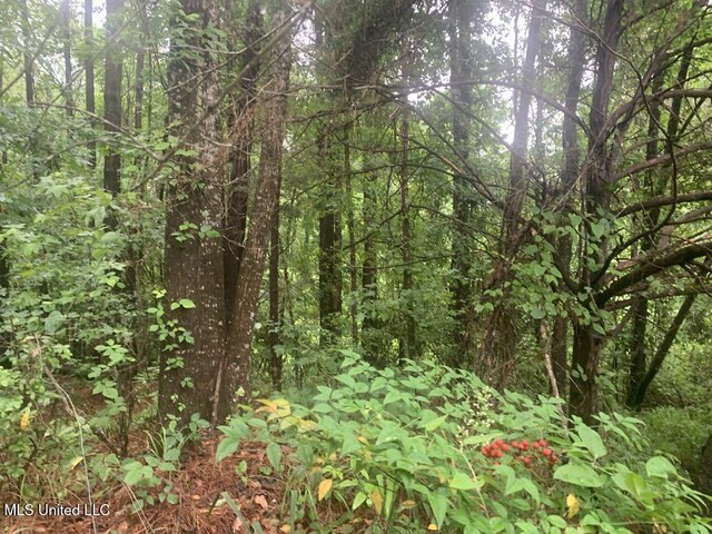 01 Dry Creek Rd, Mendenhall, MS 39114