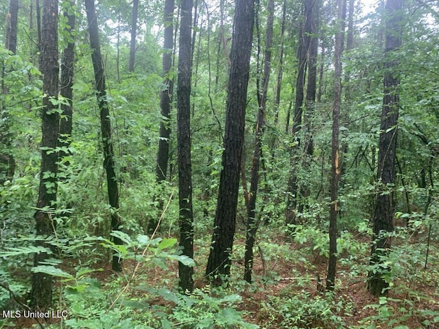 01 Dry Creek Rd, Mendenhall, MS 39114