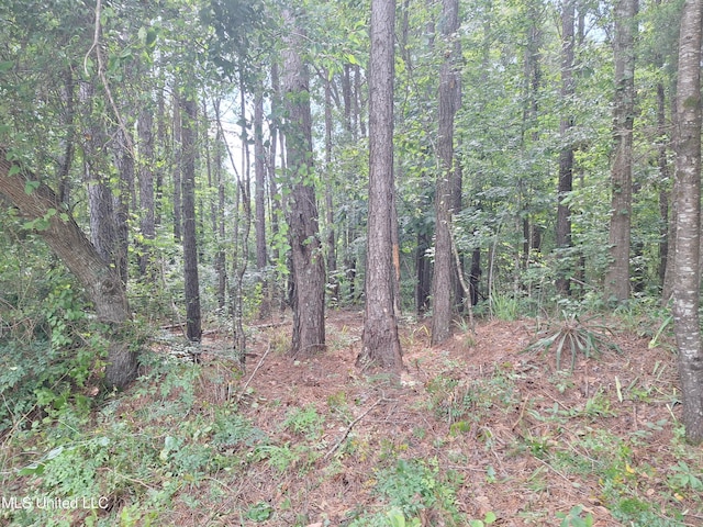 01 Dry Creek Rd, Mendenhall, MS 39114