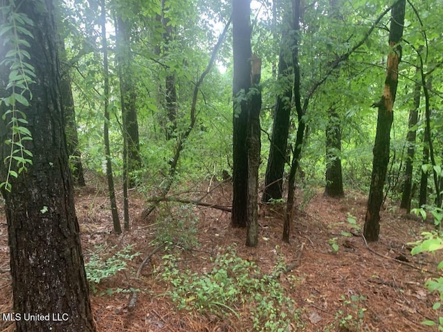 01 Dry Creek Rd, Mendenhall, MS 39114