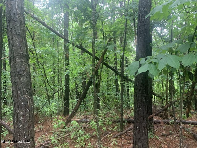 01 Dry Creek Rd, Mendenhall, MS 39114