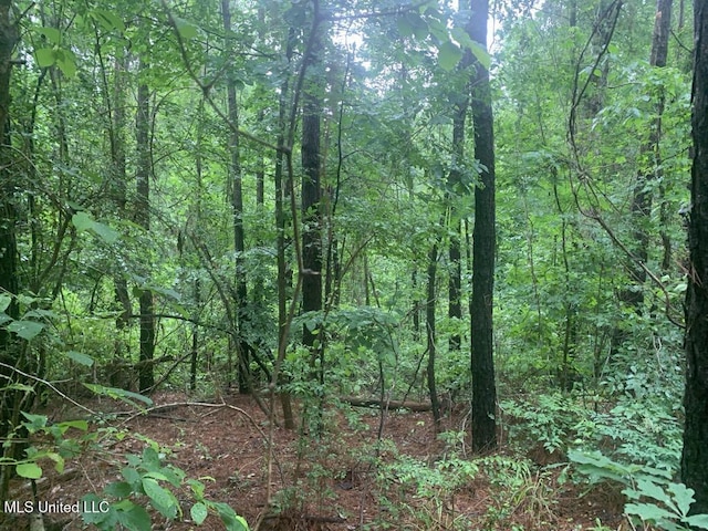 01 Dry Creek Rd, Mendenhall, MS 39114
