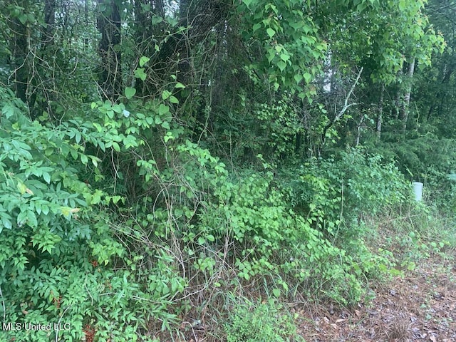 01 Dry Creek Rd, Mendenhall, MS 39114