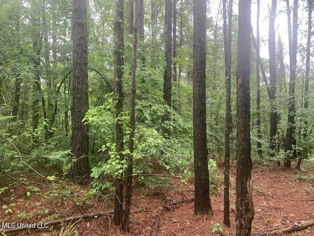 01 Dry Creek Rd, Mendenhall, MS 39114