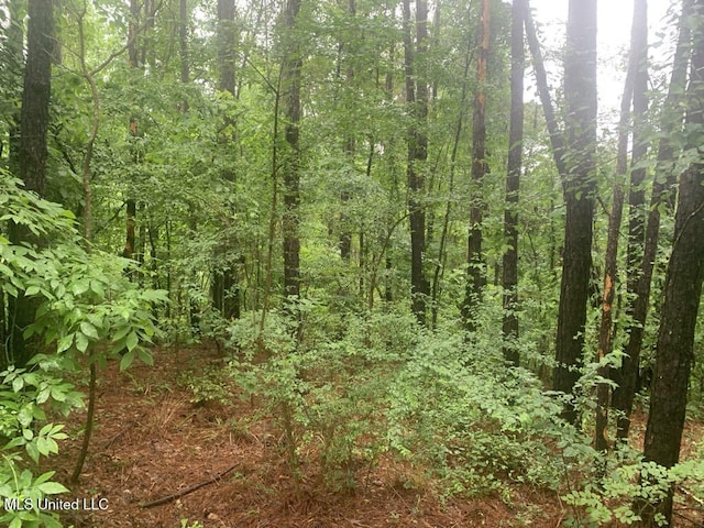01 Dry Creek Rd, Mendenhall, MS 39114