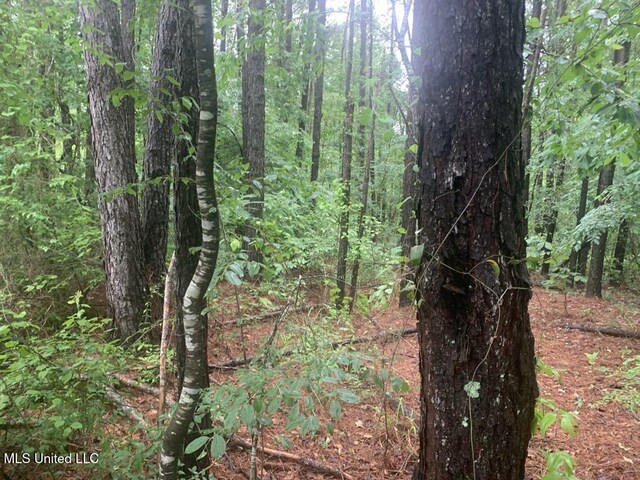 01 Dry Creek Rd, Mendenhall, MS 39114
