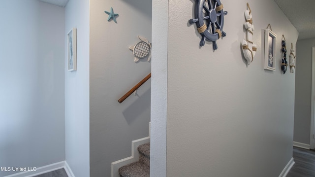 stairs with hardwood / wood-style flooring